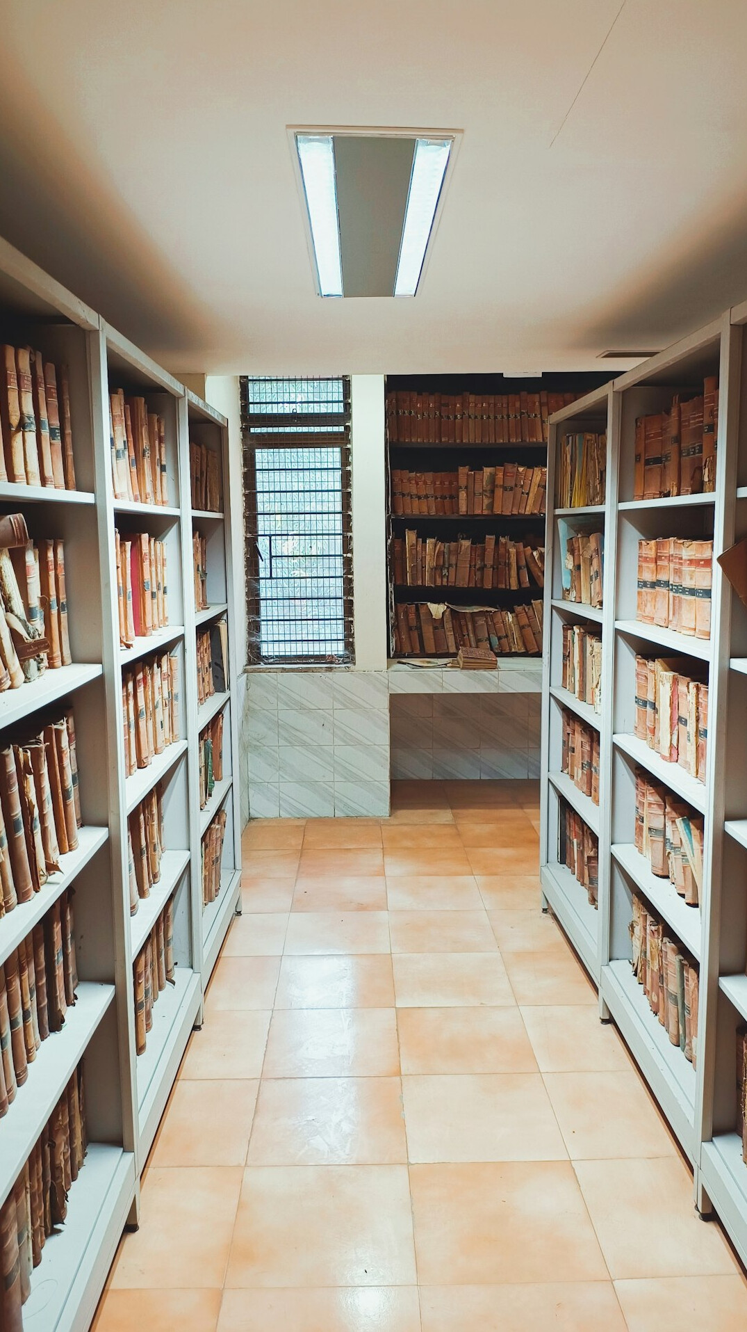 Archival boxes and historical documents on library shelves